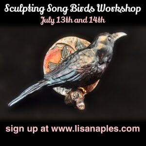 Teaching a Bird Workshop July 13 and 14